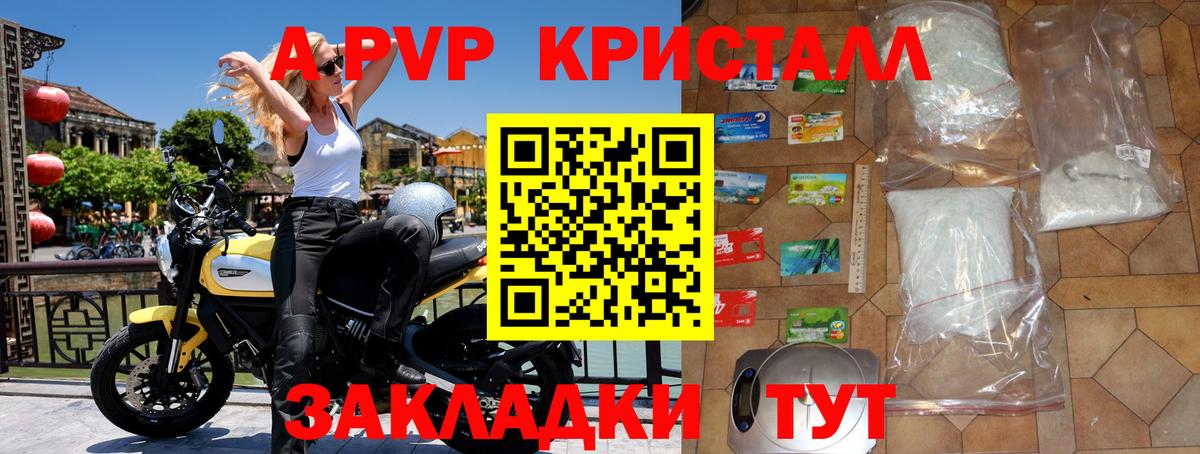 Альфа ПВП СК КРИС Кемерово